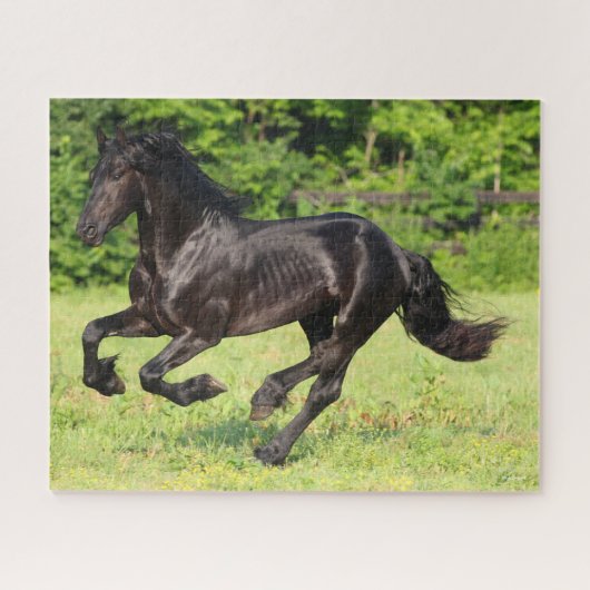 Bob Langrish | Black Friesian Running Puzzle (Horizontal)
