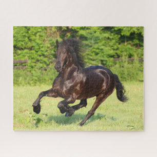 Bob Langrish   Black Friesian Running Puzzle
