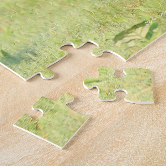 Bob Langrish | Black Friesian Running Puzzle (Seite)