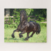 Bob Langrish | Black Friesian Running Puzzle (Horizontal)