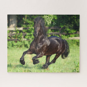 Bob Langrish   Black Friesian Running Puzzle