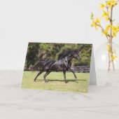 Bob Langrish | Black Lusitano Running Karte (Gelbe Blume)