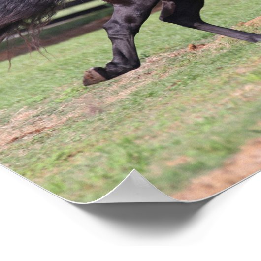Bob Langrish | Black Lusitano Running Mane Flows Poster (Ecke)