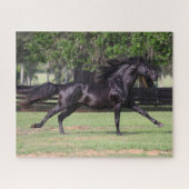 Bob Langrish | Black Lusitano Running Mane Flows Puzzle (Horizontal)