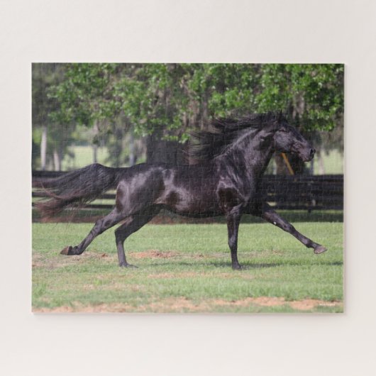 Bob Langrish | Black Lusitano Running Mane Flows Puzzle (Horizontal)