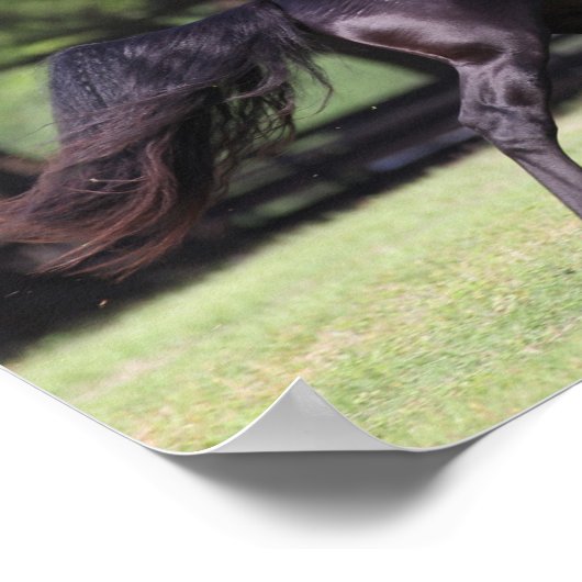 Bob Langrish | Black Lusitano Running Poster (Ecke)