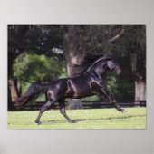 Bob Langrish | Black Lusitano Running Poster (Vorne)