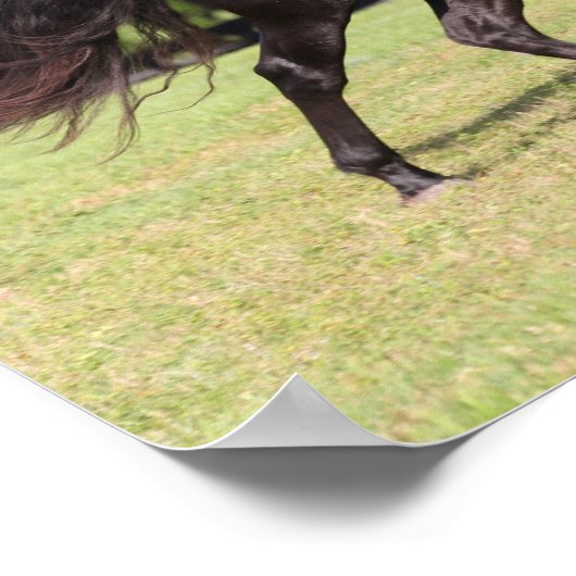 Bob Langrish | Black Lusitano Running Poster (Ecke)