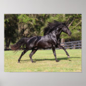 Bob Langrish | Black Lusitano Running Poster (Vorne)