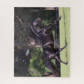 Bob Langrish | Black Lusitano Running Puzzle (Vertikal)