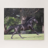 Bob Langrish | Black Lusitano Running Puzzle (Horizontal)
