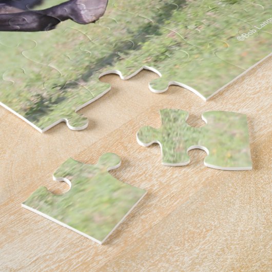 Bob Langrish | Black Lusitano Running Puzzle (Seite)