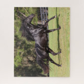 Bob Langrish | Black Lusitano Running Puzzle (Vertikal)