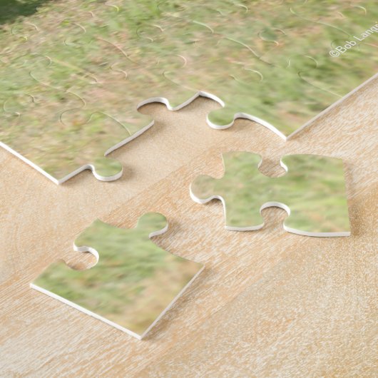 Bob Langrish | Black Lusitano Running Puzzle (Seite)