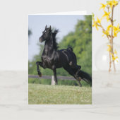 Bob Langrish | Black Morgan Horse Trotting Karte (Gelbe Blume)