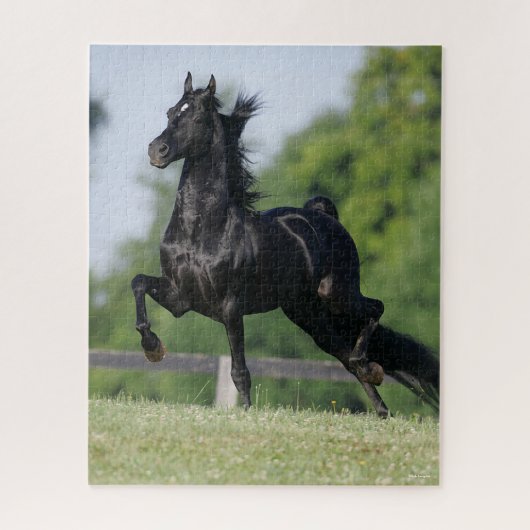 Bob Langrish | Black Morgan Horse Trotting Puzzle (Vertikal)