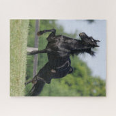 Bob Langrish | Black Morgan Horse Trotting Puzzle (Horizontal)