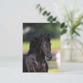 Bob Langrish | Black Rocky Mountain Horse Headshot Postkarte (Stehend Vorderseite)