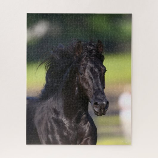 Bob Langrish | Black Rocky Mountain Horse Headshot Puzzle (Vertikal)
