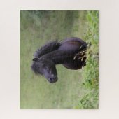 Bob Langrish Black Shetland Pony Stallion Headshot Puzzle (Vertikal)