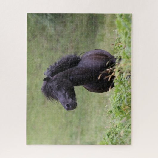Bob Langrish Black Shetland Pony Stallion Headshot Puzzle (Vertikal)