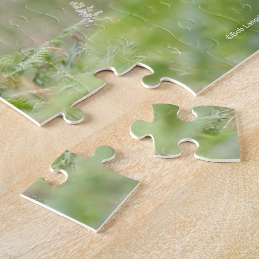 Bob Langrish Black Shetland Pony Stallion Headshot Puzzle (Seite)