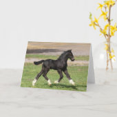 Bob Langrish | Black Sinti und Roma Vanner Foal Ru Karte (Gelbe Blume)