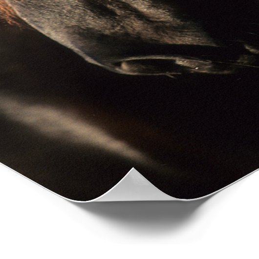 Bob Langrish | Black Tennessee Walker Headshot Poster (Ecke)