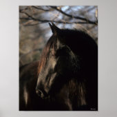 Bob Langrish | Black Tennessee Walker Headshot Poster (Vorne)