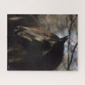 Bob Langrish | Black Tennessee Walker Headshot Puzzle (Horizontal)
