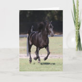 Bob Langrish | Black Tennessee Walker Running Karte (Vorderseite)