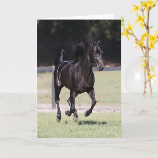 Bob Langrish | Black Tennessee Walker Running Karte (Gelbe Blume)
