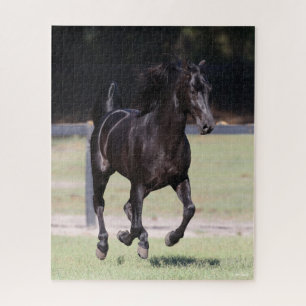 Bob Langrish   Black Tennessee Walker Running Puzzle