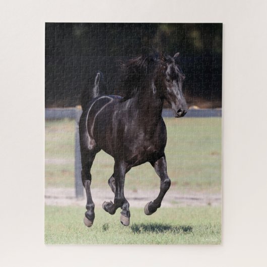 Bob Langrish | Black Tennessee Walker Running Puzzle (Vertikal)