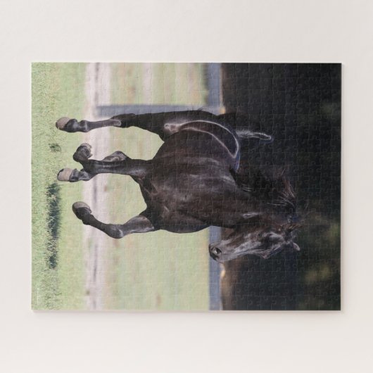 Bob Langrish | Black Tennessee Walker Running Puzzle (Horizontal)