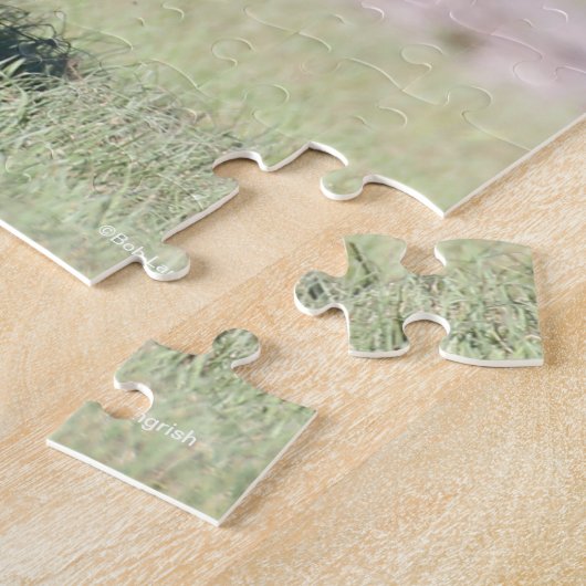 Bob Langrish | Black Tennessee Walker Running Puzzle (Seite)