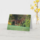 Bob Langrish | Brawn Rocky Mountain Reit Karte (Gelbe Blume)