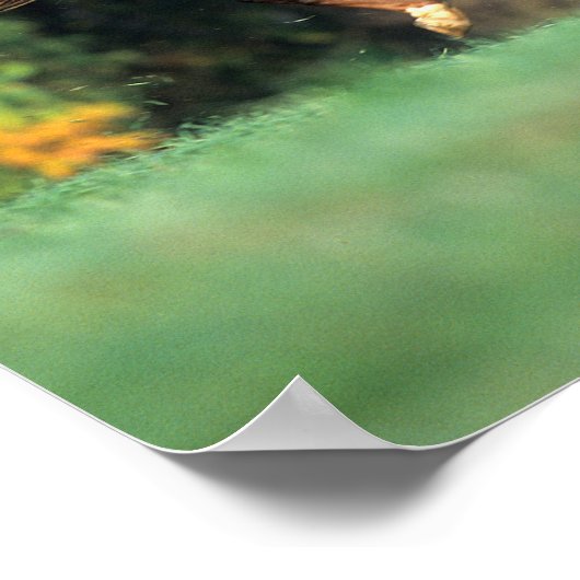 Bob Langrish | Brawn Rocky Mountain Reit Poster (Ecke)