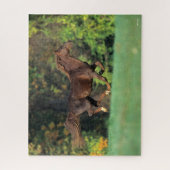 Bob Langrish | Brawn Rocky Mountain Reit Puzzle (Vertikal)