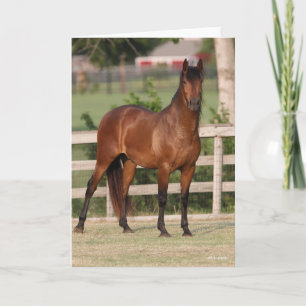 Bob Langrish Bucht Andalusien Stehend Karte