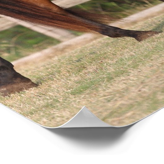 Bob Langrish | Bucht Andalusien Stehend Poster (Ecke)