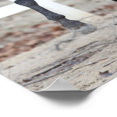 Bob Langrish | Bucht Andalusischer Stallion Runnin Poster (Ecke)