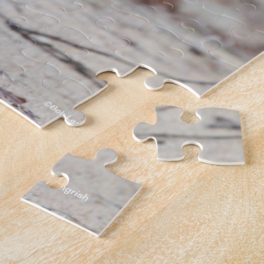 Bob Langrish | Bucht Andalusischer Stallion Runnin Puzzle (Seite)