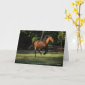 Bob Langrish | Bucht Andalusisches Pferderennen Karte (Gelbe Blume)