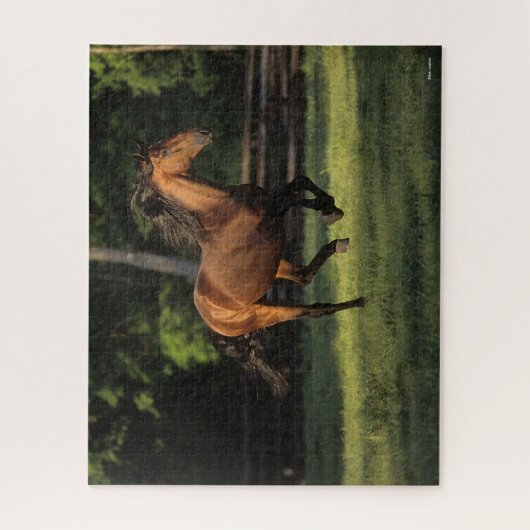 Bob Langrish | Bucht Andalusisches Pferderennen Puzzle (Vertikal)