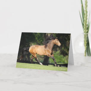 Bob Langrish   Buckskin Lusitano Running Karte