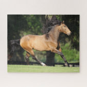 Bob Langrish | Buckskin Lusitano Running Puzzle (Horizontal)