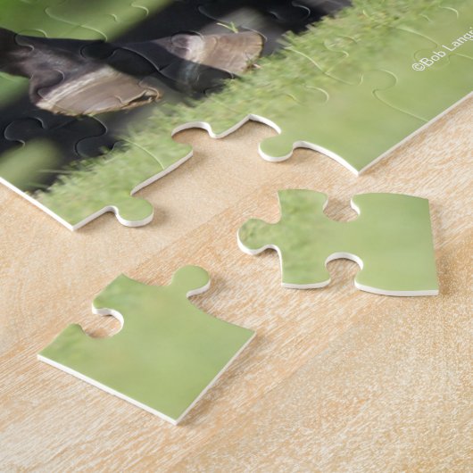 Bob Langrish | Buckskin Lusitano Running Puzzle (Seite)