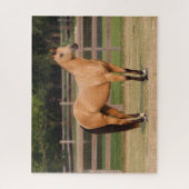 Bob Langrish | Buckskin Quarter Horse Stehend Puzzle (Vertikal)