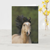 Bob Langrish | Buckskin Welsh Pony Headshot Karte (Gelbe Blume)